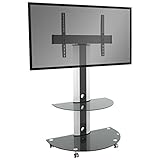 RICOO TV Ständer Rollbar Fernseher-Halterung Schwenkbar Neigbar (FS0502) Universal für 30-55 Zoll (bis 30-Kg, Max-VESA 600x400) Stand-Fuss mit Rollen Curved LCD OLED Bildschirm Fernsehhalterung
