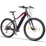 Fitifito MT29 Elektrofahrrad Mountainbike E-Bike 48V 250W Rear Cassette Motor, hydraulische Scheibenbremse, 48v 10,56Ah 504Wh Samsung Lithium-Ionen