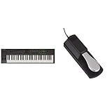 Nektar Impact LX61 + USB-MIDI-Controller-Keyboard mit DAW-Integration & RockJam professionelle Pedal für digitale Klaviere erhalten und elektronischen Keyboards mit Polaritätsschalter
