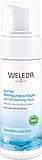 WELEDA Zarter Reinigungsschaum, Naturkosmetik Gesichtsreinigung zur porentiefen Reinigung für normale und Mischhaut, Pflegeschaum gegen unreine Haut im Gesicht (1 x 150 ml)