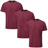 Charles Wilson 3er Packung Herren Kurzarm Sports Gym T-Shirt (L, Dark Port (0520))