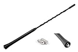 Audioproject A103 - Autoantenne 28cm - kompatibel für VW Golf 4 5 6 7 Passat Lupo Polo 6R Audi A6 Opel Corsa C D Astra G H Ford Focus Renault BMW Seat Skoda Radio-Antenne Dach-Antenne Auto-Radio