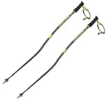 Fischer RC4 GS Stock 20/21 Länge: 125cm