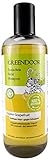 500ml Greendoor basisches Natur Shampoo Ingwer Grapefruit Männer-Shampoo kräftiges Haar gegen Schuppen, outdoor Aus Bio Ölen OHNE Silikon Sulfate Parabene, natürlich vegan Haarpflege men Naturkosmetik