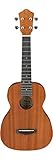 Ibanez UKC10 Konzert Ukulele im Natural Low Gloss Finish inklusive Ibanez Ukulelen-Gigbag