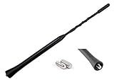Audioproject A104 - Autoantenne 24cm - kompatibel für VW Golf 4 5 6 7 Passat Lupo Polo 6R Audi A6 Opel Corsa C D Astra G H Ford Focus Renault BMW Seat Skoda Radio-Antenne Dach-Antenne Auto-Radio