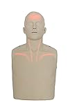 Brayden Manikin LED Blutfluss HLW Reanimationspuppe CPR Wiederbelebungspuppe Set