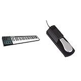 Alesis V61- USB MIDI Pad/Tastatur Controller mit 61 Tasten, 8 anschlagdynamische-Pad mit 4 Regler und Taster & RockJam professionelle Pedal für digitale Klaviere erhalten und elektronischen Keyboards