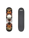 AREA Komplett Skateboard für Einsteiger Anfänger, 7,9inch, mit Aluminium Truck (Stand Up)