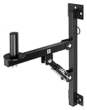 Pronomic WSM-1 PA Lautsprecher Wandhalterung für PA-und Hifi-Boxen (geeignet für Lautsprecher mit 35mm Flansch, 3-stufig verstellbarer Winkel, stabil, Metall) schwarz