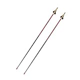 Rossignol Force 10 Pole