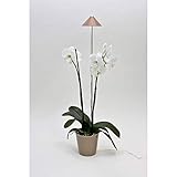 Venso LED-Pflanzenlampe Sunlite 24V LED fest eingebaut 7W Neutralweiß 1St.