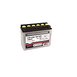 Batterie Rasentraktor 12 V 18 Ah MTD/Etesia Bahia/Stiga