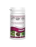 Bellfor Immun-Pulver für Hunde 80g