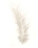 Glorex 6 3820 001 - Marabufedern, weiß, 15 Stück (ca. 2 g), sehr weiche Federn, vielseitig einsetzbar als Dekoration, zum Basteln, für Masken