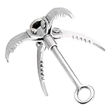 TRIWONDER Grappling Haken aus Edelstahl, Kletterkrallen Greifhaken mit Klauen für Bergsteigen Wandern Klettern (Silber - 4 Klauen)
