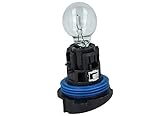 Carall Halogen-Lampe HP24W 12 V 24 W Clear P24W mit Sockel für Tagfahrlicht