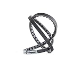 CONTITECH AVX10X875 Keilriemen