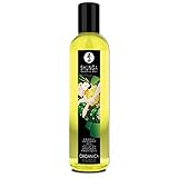 SHUNGA erotisches Massageöl Biologisch - Grüner Tee