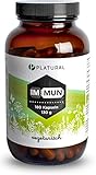 Platural® Immun - Vitamin C Zink Selen Magnesium Vitamin D E B6 + Holunder Acerola Acai - Immunsystem stärken * - 180 Premium Kapseln laborgeprüft - hochdosiert, in Deutschland hergestellt