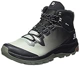 Salomon Damen VAYA MID GTX Wanderschuh, Aqua Gray/Phantom/Castor Gray, 40 EU