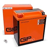 GP-PRO GTX16-BS 12V 14Ah GEL-Batterie (Kompatibel mit YTX16-BS / 81600) (Wartungsfrei & Versiegelt) Akkumulator Motorrad Motorradbatterie