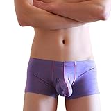 Zarupeng Herren Boxershorts Sexy Unterwäsche Shorts Slips Bulge Pouch Unterhosen (2XL, Violett)