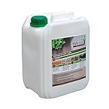 Bio Holzschutz Imprägniermittel HAresil Argentum 5l Holzschutzlasur schützt vor Pilze, Holzwurm, Holzwurmfrei, Holzschädlinge, Holzwurmschutz, Holzwurmstopp, Holzschutz, Pilzbekämpfung, für Innen und Außen. Ungiftig, biologisch, und Biozidfrei. mineralisch und natürlich