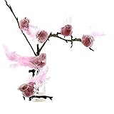 TGG 6 Stück Paradies Vögel mit Clip in pink, Federn und Samtkörper !!!