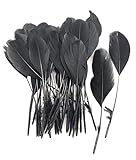ERGEOB schwarz abgestreift Coque Schwanz Federn 10-15cm/4-6 Zoll Länge Basteln Material Kopfschmuck Brosche Material schwarz