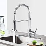 Küchenarmatur Wasserhahn mit Brause, 360° schwenkbar Spültischarmatur, Mischbatterie aus Edelstahl, Einhebelmischer Spültischbatterie (Silber)