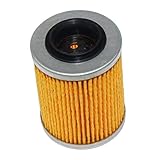 P Prettyia 0800 011300 für CFMOTO CF800 Originalteile Ölfilter