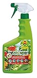 COMPO Grün- und Blühpflanzen Schädlings-frei AF, Bekämpfung von saugenden Insekten und Spinnmilben an allen Zierpflanzen, 750 ml