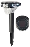 Royal Gardineer Vogelabwehr: Solar-Vogelschreck, Bewegungs-Sensor, 3 Sounds, LED-Blitzlicht, 95 dB (Taubenschreck mit Bewegungsmelder)