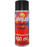 Thermolack Spray 400ml Schwarz Auspuff Motor Autolack