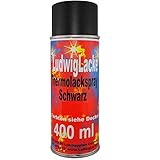 Thermolack Spray 400ml Schwarz Auspuff Motor Autolack