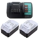 18V 5000mAh Ersatzakku mit Ladegerät für Makita 18Volt BL1813G series BL1830G BL1815G BL1811G BL1840G BL1850G 195608-4 196365-7 196366-5 196367-3 198186-3 632B05-0 Batterie