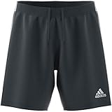adidas Herren TASTIGO19 Shorts, dgh solid grey/White, XL