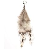 Glorex Deko-Feder mit Öse ca. 9-11cm 6St, Mehrfarbig, 16.5 x 8.6 x 0.2 cm