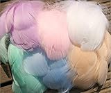 LEBENSWERT 400pcs Federn 8-12 cm,Natürliche schöne Gänsefedern für Verschiedene DIY Handwerk Basteln Kopfschmuck, Ohrringe und Hochzeit Geburtstag Festival Hausparty Deko & Braut Babyparty (hell bunt)