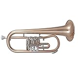 eastman TFH-371 Flügelhorn in B (3 Drehventile) Bugle Goldmessing lackiert, Gelb