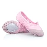 DoGeek Ballettschuhe Mädchen Gymnastikschuhe Tanzschuhe Ballettschläppchen Ballerinas für Kinder Damen Rosa,40 (Bitte bestellen Sie eine Nummer grösser)