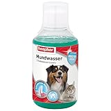 Mundwasser für Hunde & Katzen | Trinkwasserzusatz gegen Mundgeruch bei Hunden & Katzen | Bekämpft Plaque | Beugt Zahnstein vor | Mit Menthol | 250 ml