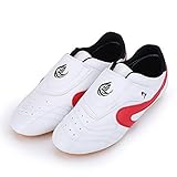 Taekwondo Sportschuhe TaiChi Kong Fu Schuhe Boxen Karate Traningaschuhe für Männer Frauen ( Abmessung : 38 )