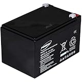 akku-net Blei-Gel-Akku für Rollstühle Elektro-Scooter Elektrofahrzeuge 12V 12Ah, 12V, Lead-Acid