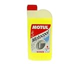 Kühlerfrostschutz Motul Motocool Expert 1Liter