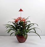 Venso LED-Pflanzenlampe Sunlite 24V LED fest eingebaut 7W Neutralweiß 1St.