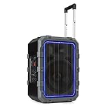 auna Spencer Mobiler PA-Lautsprecher - 60 Watt, wasserfest nach Standard IPX4, 10' Tieftöner, 2,5' Hochtöner, Bluetooth, USB-Port, Akku, AUX-IN, 2 Mikrofon-/Gitarreneingänge, schwarz/grau