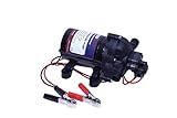 Eccotemp EccoFlo Diaphragm 12V Pump and Strainer