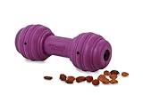 PetSafe Busy Buddy Hundespielzeug Chuckle, befüllbarer Snackball, Zahnpflege für Hunde, animierendes Geräusch